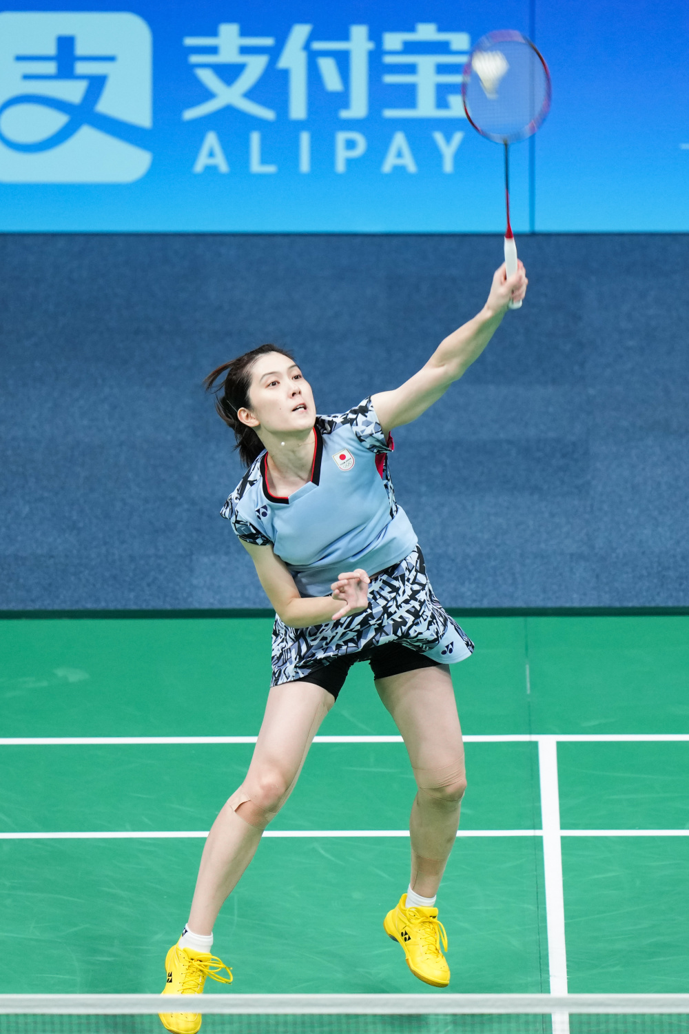 继续发扬光 继续发扬光